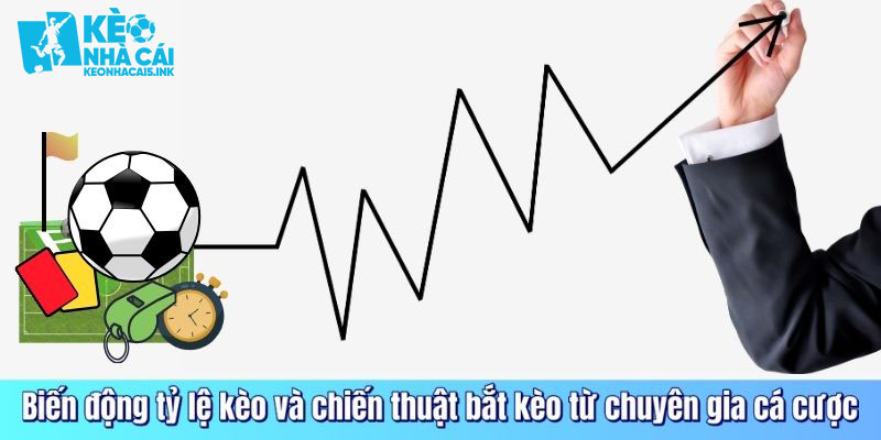 Biến động tỷ lệ kèo và chiến thuật bắt kèo từ chuyên gia cá cược